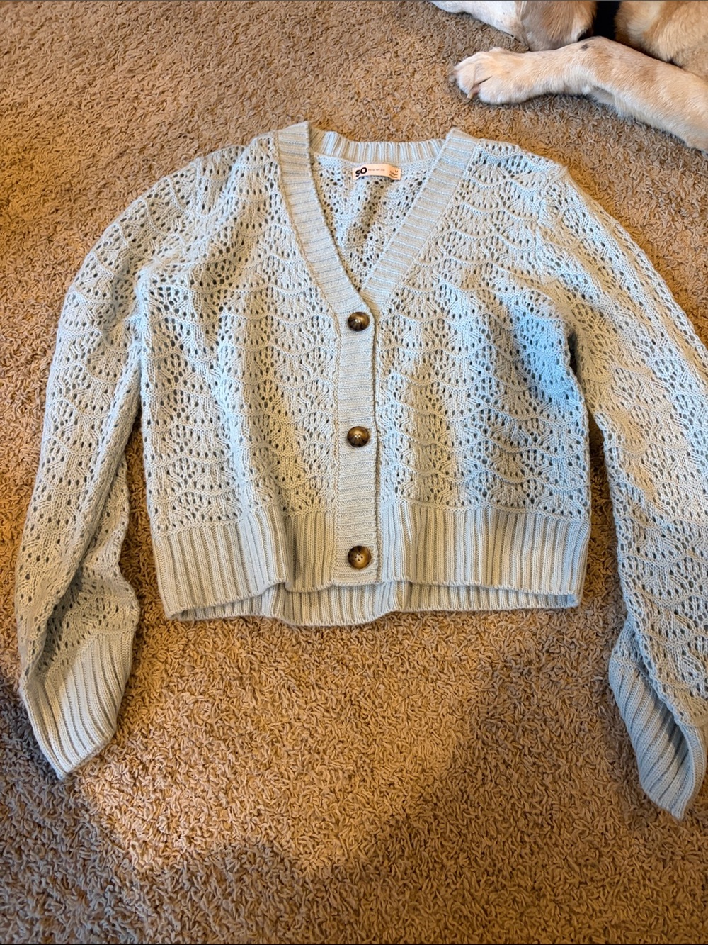 Pale Blue Crochet Button-Front Cardigan with Ribbed Hem